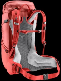 Deuter Futura 24 SL caspia-currant Fashion