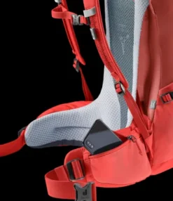 Deuter Futura 24 SL caspia-currant Fashion