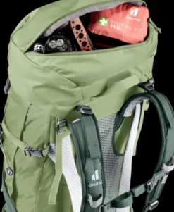 Deuter Futura Air Trek 45+10 SL grove-ivy Online