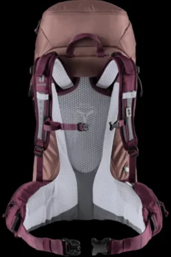 Deuter Futura Pro 38 SL ashrose-cassis Best
