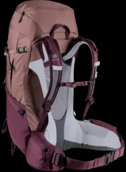 Deuter Futura Pro 38 SL ashrose-cassis Best