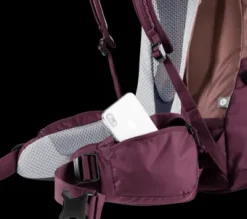 Deuter Futura Pro 38 SL ashrose-cassis Best