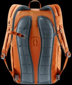 Deuter Gogo chestnut-umbra Sale