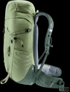 Deuter Trail 24 grove-ivy New
