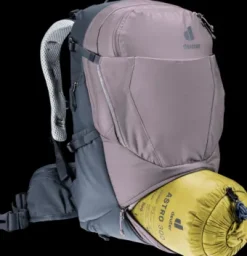 Deuter Trans Alpine 22 SL lavender-ink Discount