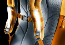 Deuter Waldfuchs 14 amber-maple Online