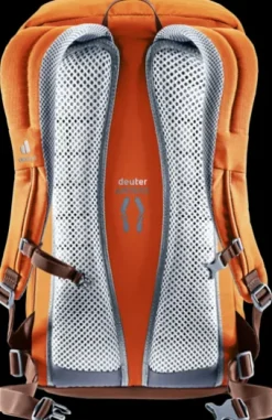 Deuter Walker 24 chestnut-umbra Sale