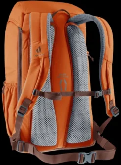 Deuter Walker 24 chestnut-umbra Sale